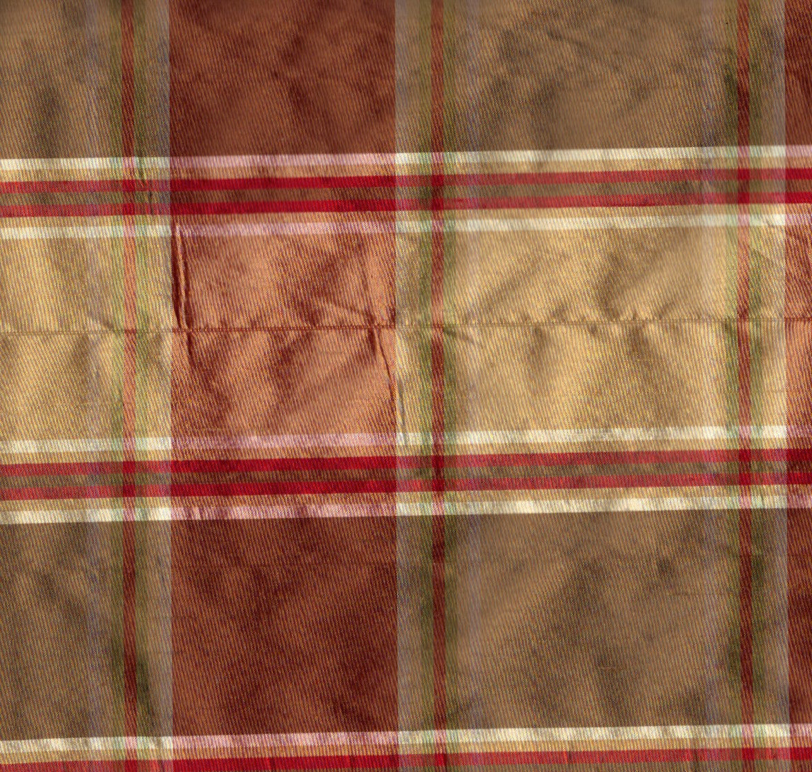 silk check 2006b